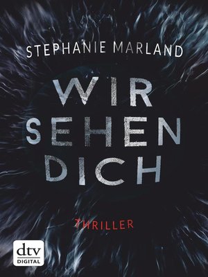 cover image of Wir sehen dich
